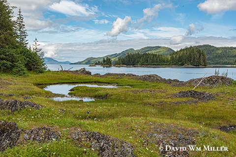 Bainbridge Passage waterfront