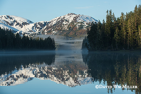Goose Bay summer morning.
