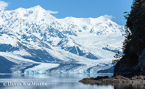 Harvard Glacier in College Fiord.